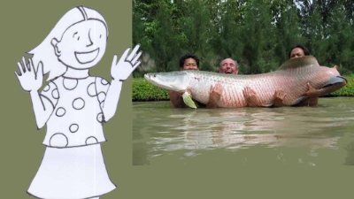 Amigos na Mata Atlântica